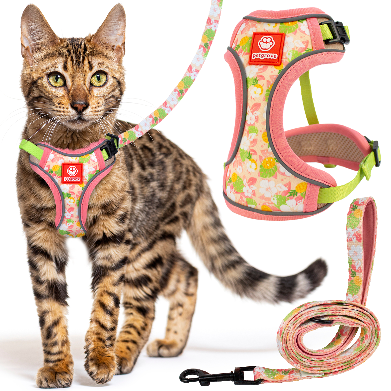 Petgrove Cat Harness and Leash Set Combo Escape Proof for Walking, Tropical Paradise, Small