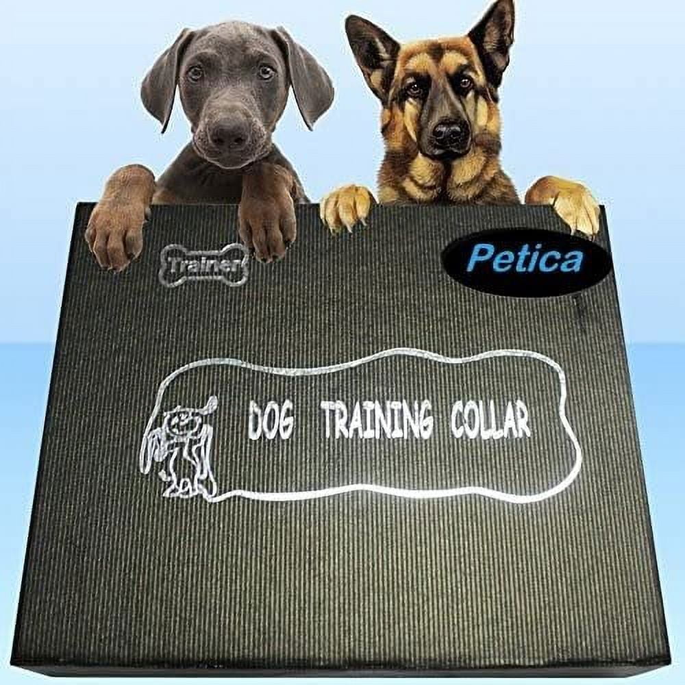 SportDOG SportTrainer Remote Dog Training Collar, 1/2 Mile Range