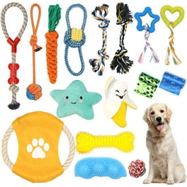 https://i5.walmartimages.com/seo/Petimi-18-Piece-Dog-Toys-Set-Dog-Chew-Toys-for-Small-Dog-Dog-Squeaky-Toys-and-Dog-Rope-Chew-Toys_fe4b3cd1-e830-4935-9ad0-351f08c2cf1d.ee3d619302038038f9b725ae41ecf858.jpeg?odnHeight=264&odnWidth=264&odnBg=FFFFFF