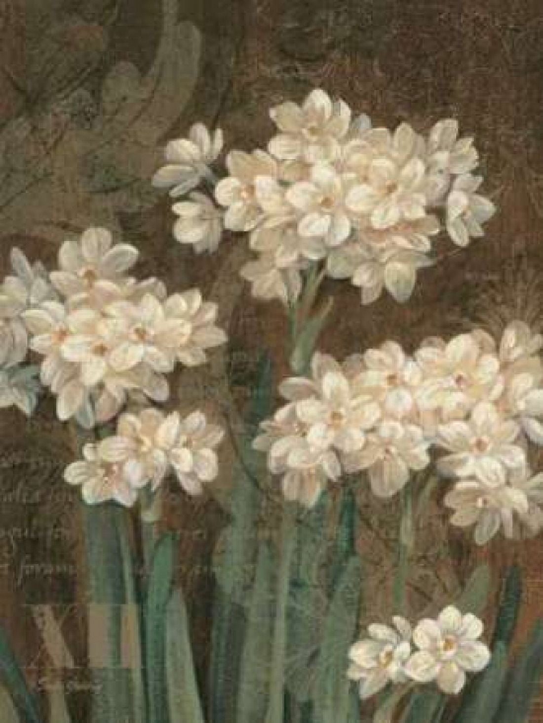 Petit Jardin Narcissus Canvas Art - Pamela Gladding (18 x 24)