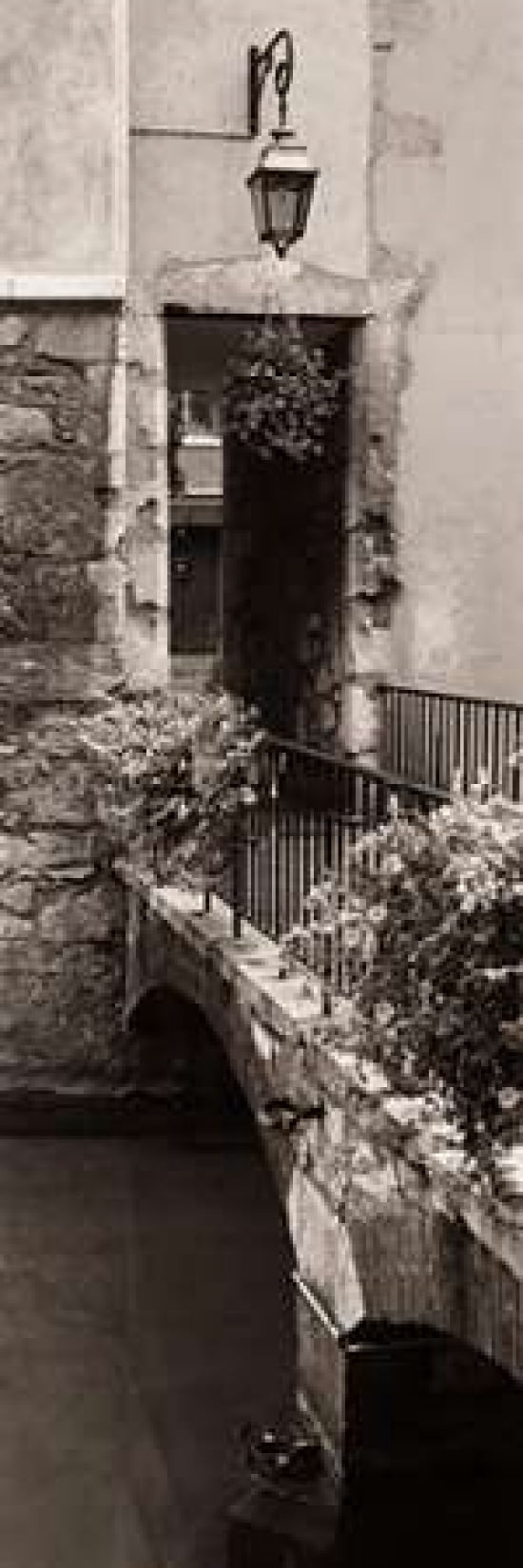 Petit Pont dAnnecy Canvas Art - Alan Blaustein (8 x 24)