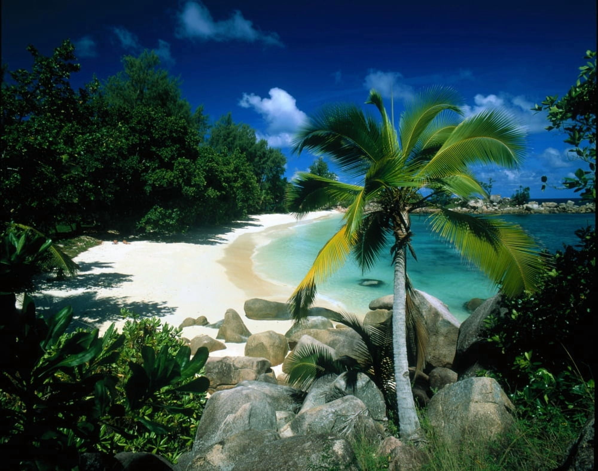 Petite Anse Praslin Seychelles Canvas Art - Panoramic Images (36 x 29)