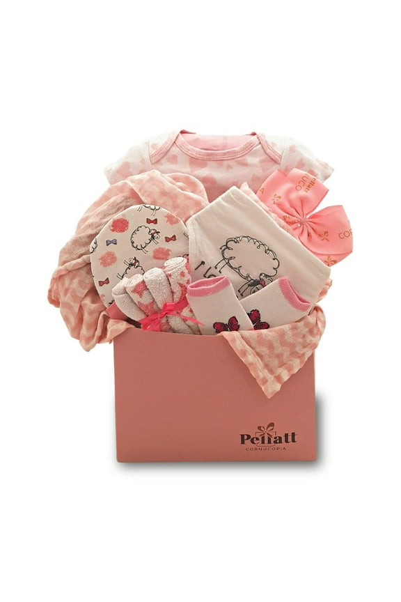 Petite Love Baby Girl Gift Basket
