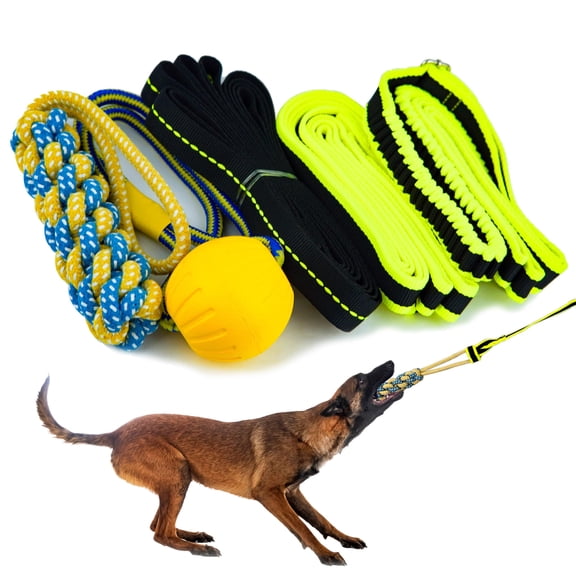 Petite Paws Tree Rope Toy for Dogs Bungee Tug War Toy for Outdoor Exercise & Play
