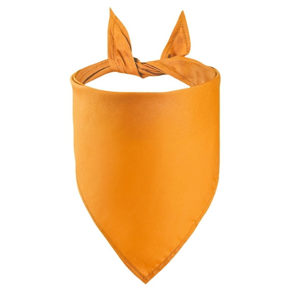 Petitebelle Single Color Dog Scarf Pet Bandana (Orange, Large)