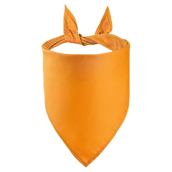 Petitebelle Single Color Dog Scarf Pet Bandana (Orange, Large)