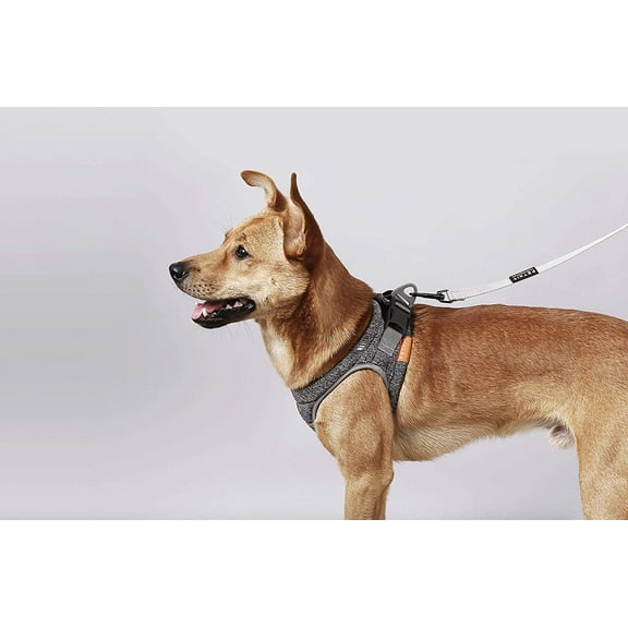 Petkit Air Pro Harness Light Foam, Shock Absorbent, Breathable, for Medium and Small Animals (Medium)