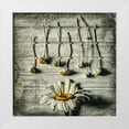 thumbnail image 1 of Petkova, Evelina 26x26 White Modern Wood Framed Museum Art Print Titled - Survival, 1 of 4