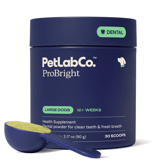 Petlab Co. - ProBright Dog Dental Powder – Dog Teeth Cleaning Made Easy - Targets Tartar & Bad Breath -Tailored for Large Dogs - Scoop Included