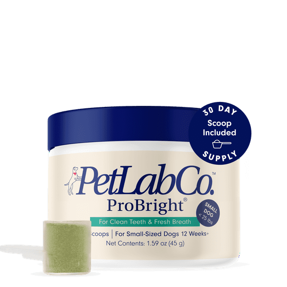 Petlab Co. - ProBright Dog Dental Powder – Dog Teeth Cleaning Made Easy - Targets Tartar & Bad Breath -Tailored for Small Dogs - Scoop Included