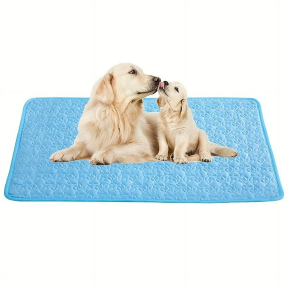 Petlivat Dog Mat, Machine Washable, Indoor and Outdoor Usage, 27.5" x 22"