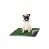 Small Green Artificial Grass Puppy Pee Pad with Tray