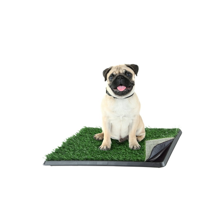 Grass puppy pad hotsell