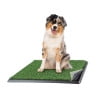 Medium Artificial Grass Puppy Pee Pad with Tray Set