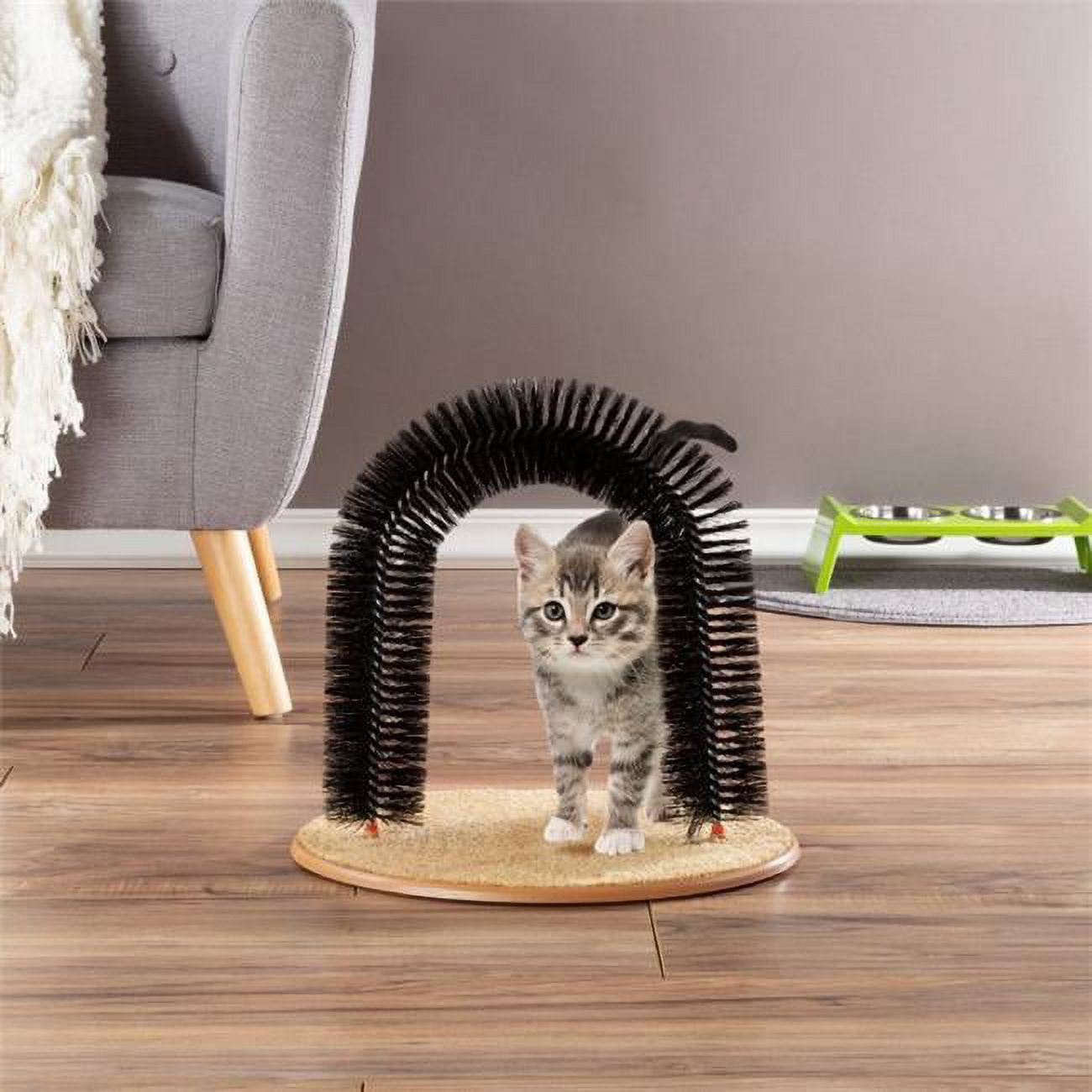 Black Bristle Ring Brush Cat Arch with Carpeted Base