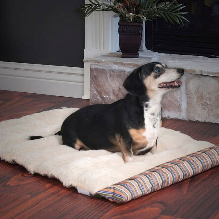 Outdoor Dog Bed - 37x24 Roll-up Travel Bed with Memory Foam and