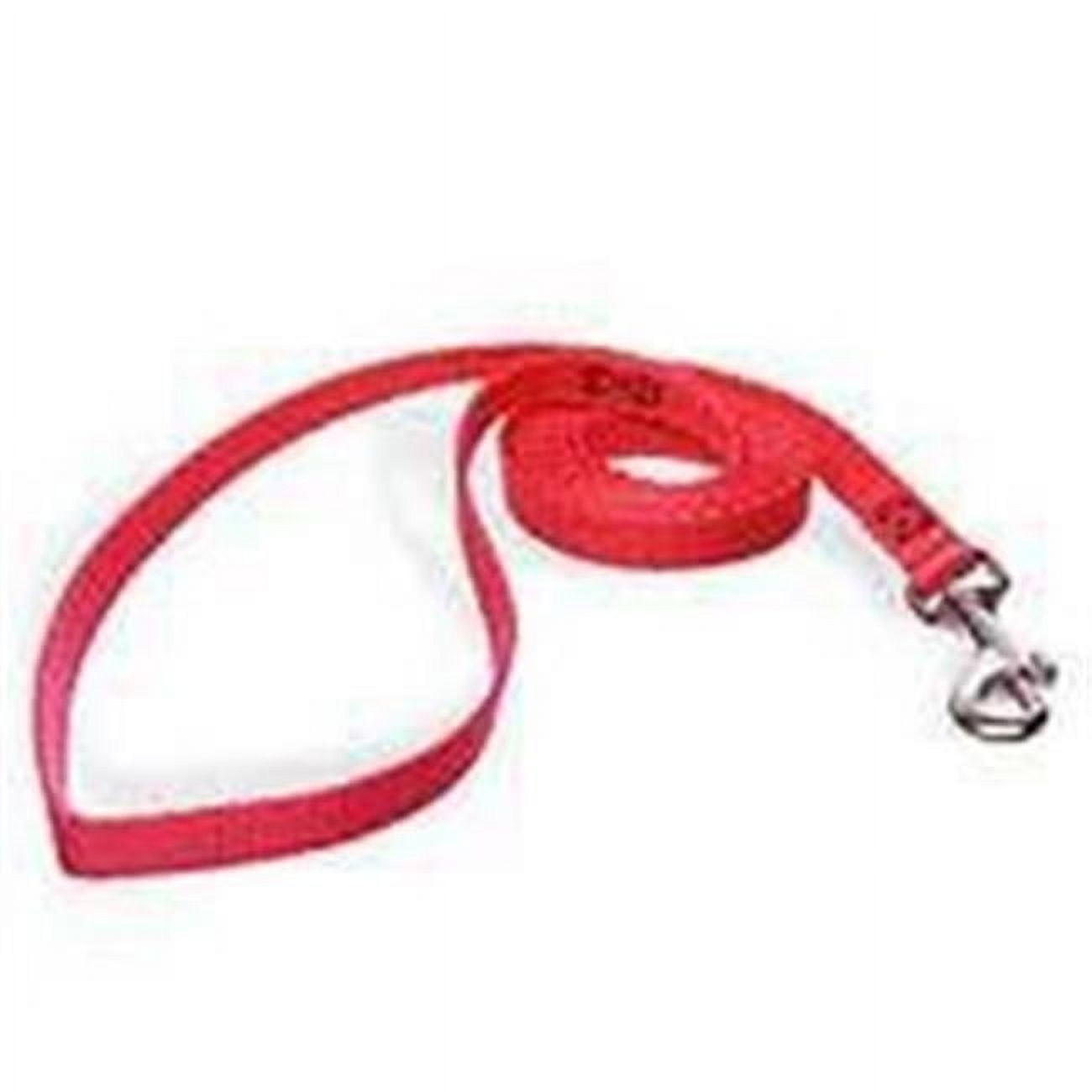 Petmate Aspen PET Products 15006 Nylon Leash, 4Feet by 5/8Inch, Red