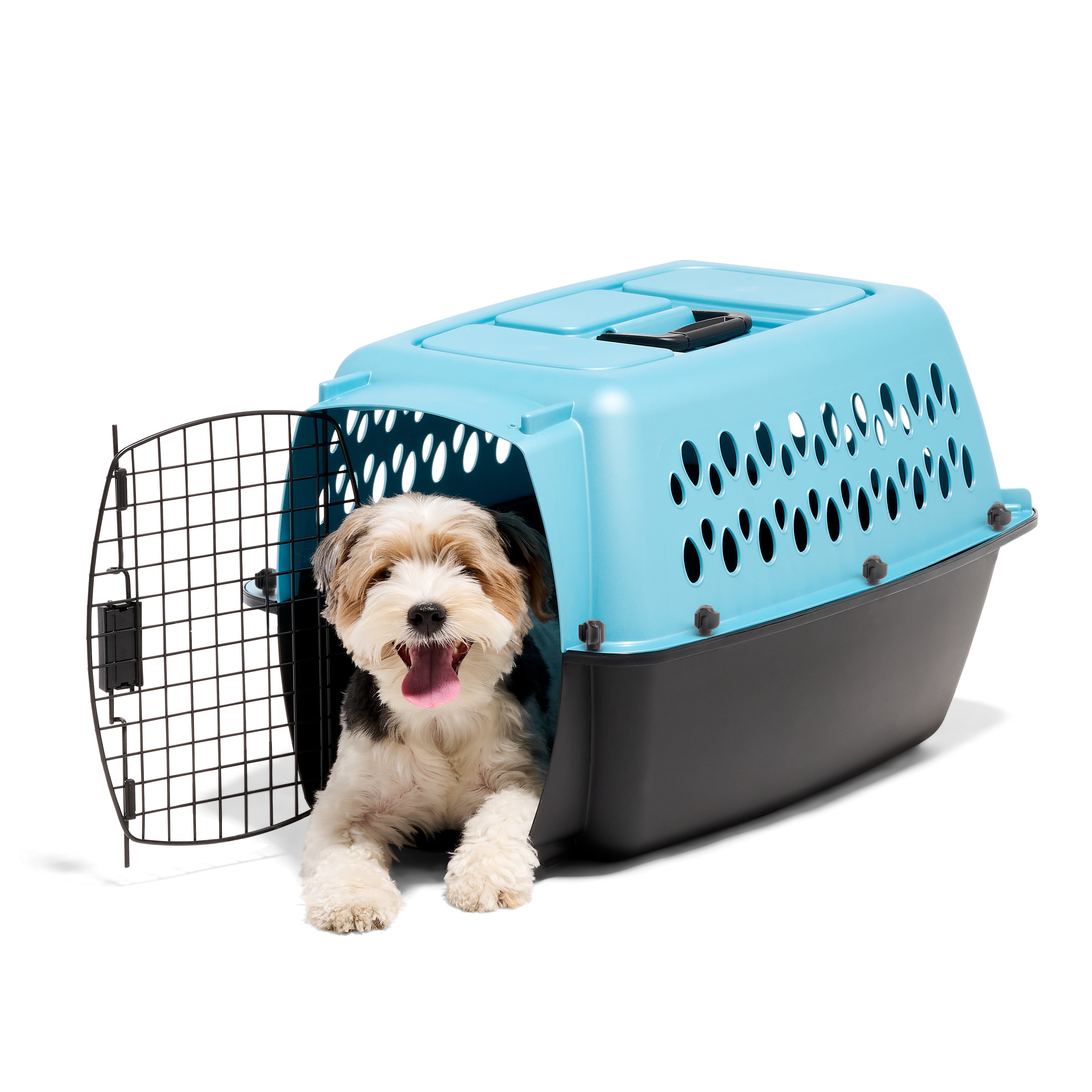 Petmate Fashion Vari Travel Plastic Dog Kennel Pet Carrier, 24