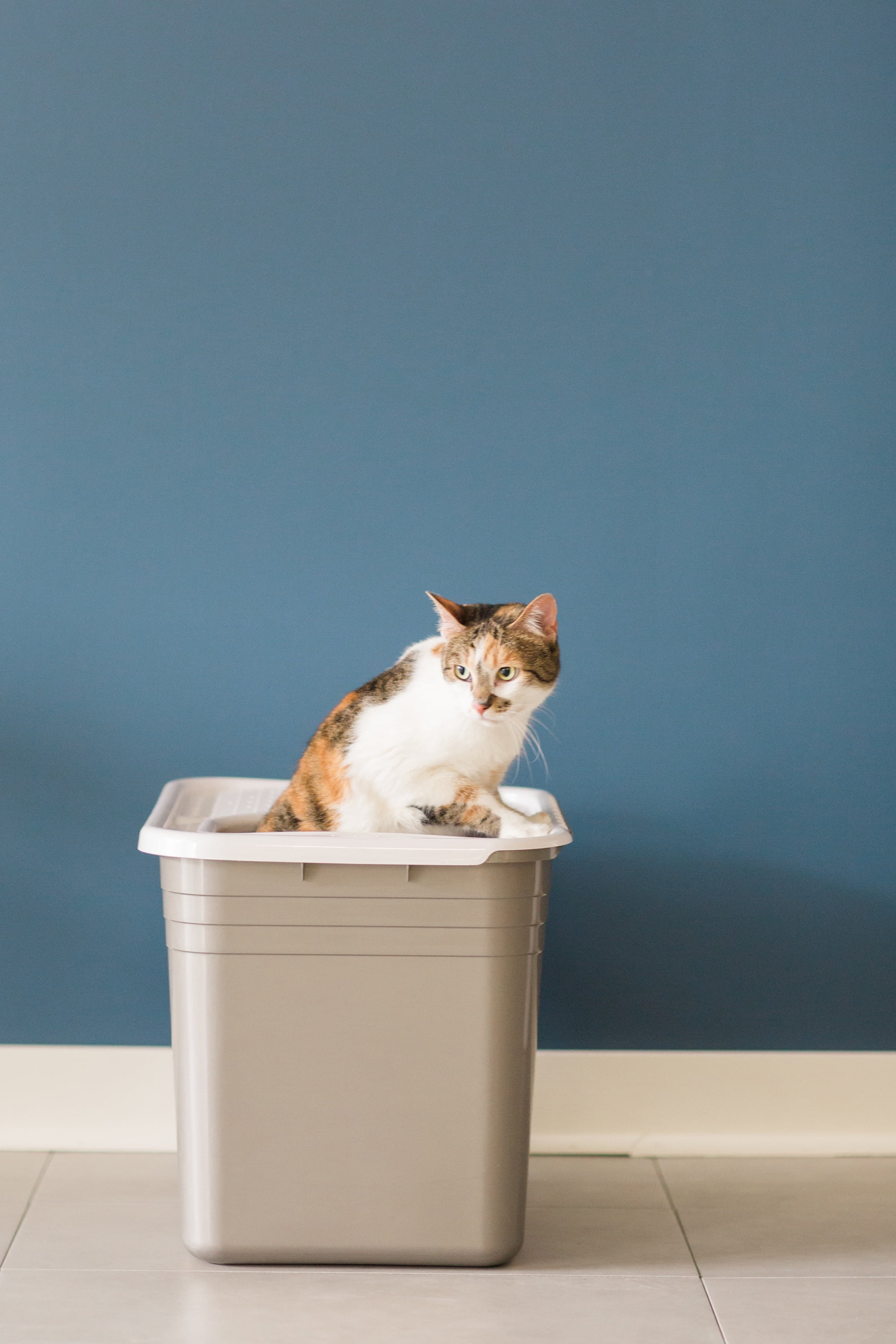 Gray and White Plastic Top Entry Cat Litter Box