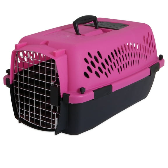 Petmate Pet Porter Fashion Travel Dog Kennel Portable Pet Carrier, Small 23" for Dogs Up To 15 lb, Hot Pink