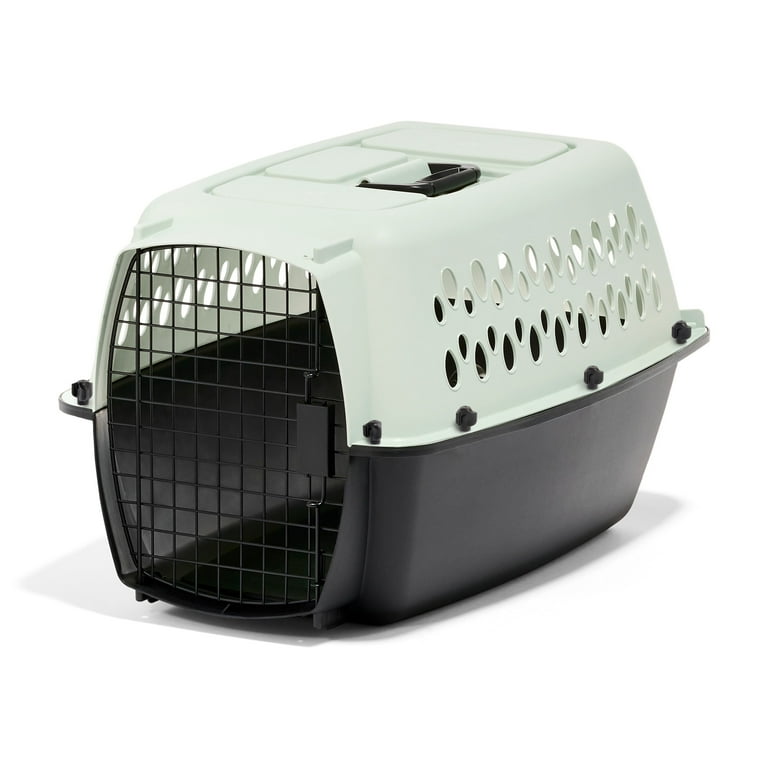 Carrier Small Kennels For Sale Kennel Pro Pet Carrier Small Orange