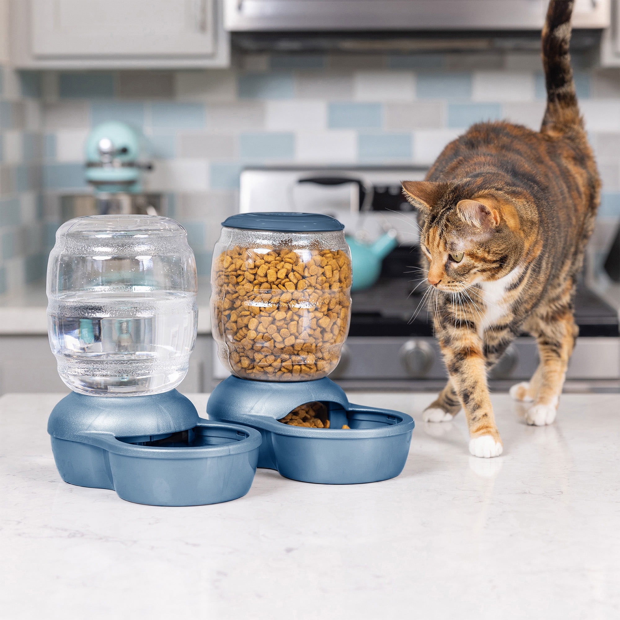 X-Small Blue Gravity Pet Feeder with Microban Protection