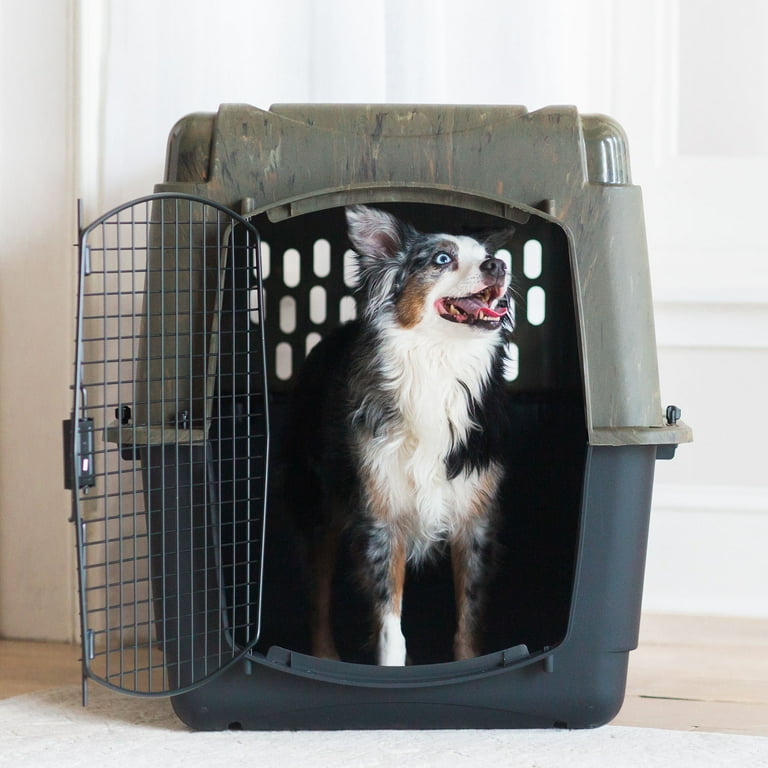 Petmate RuffMaxx Plastic Dog Kennel Outdoor Indoor Pet Carrier