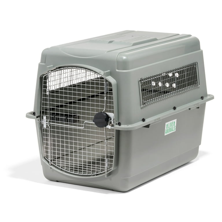 Petmate Sky Kennel for Dogs, IATA Approved, Plastic Travel Carrier - Main Image