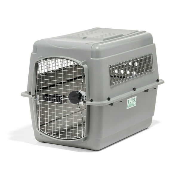 Petmate Sky Kennel for Dogs, IATA Approved, Plastic Travel Carrier, Gray, For Dogs 50-70 lbs, Large, 40" x 27" x 36"