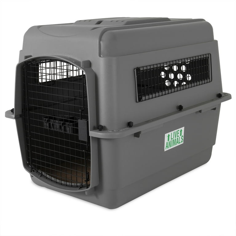 Petmate Sky Kennel for Dogs, IATA Approved, Plastic Travel Carrier