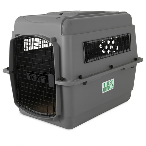 Petmate Sky Kennel for Dogs, IATA Approved, Plastic Travel Carrier, Gray, For Dogs 30-50 lbs, Medium, 32" x 23" x 32"