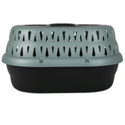 Petmate Top Load Pet Carrier Cat Kennel, 19" Length, for Pets up to 10 lb, Green