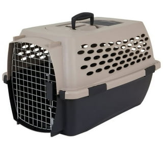 Walmart pet shop carrier in store