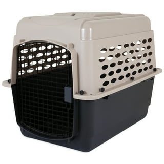Large Cat Carriers in Cat Carriers Walmart