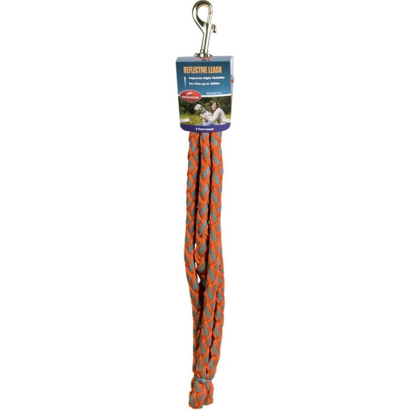 Petnation 5 Foot Reflective Leash, Black/Orange Assorted