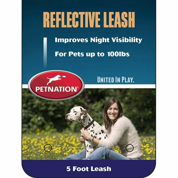 Petnation 5 Foot Reflective Leash, Pink/Purple Assorted
