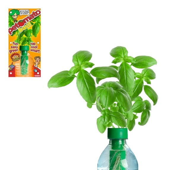 Petomato Basil Hydroponic Plant Growing Kit – Indoor Gardening Set for Recycled Plastic Bottle, Green