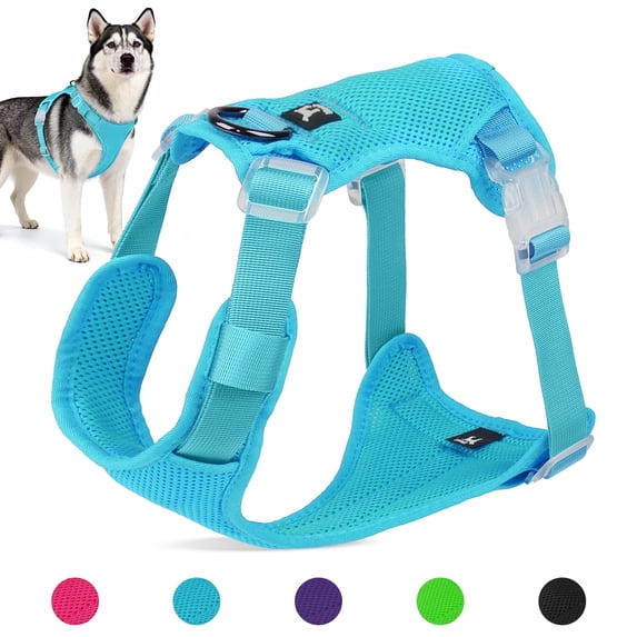 Jewyow No Pull Dog Harness, Adjustable Dog Vest with Soft Padding, Heavy Duty Dog Harness for Small, Medium, Large Dogs(Blue,L)