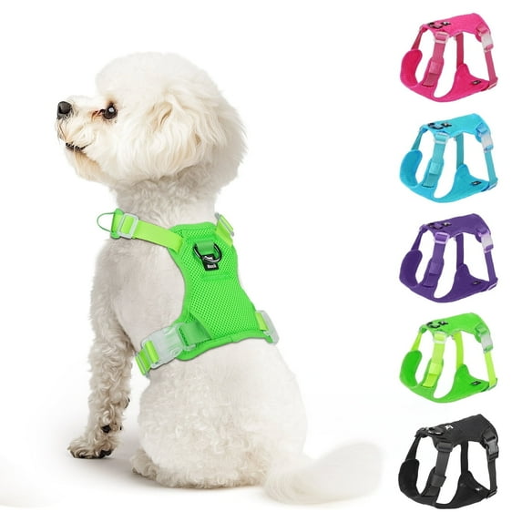Jewyow No Pull Dog Harness - Step in Harness for Small/Medium Dogs & Puppies, Breathable Vest Harness with Leash Attachment, Adjustable Soft Harness for Cats & Extra Small Dogs Green, XL