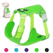 Jewyow No Pull Dog Harness, Adjustable Dog Vest with Soft Padding, Heavy Duty Dog Harness for Small, Medium, Large Dogs(Green,XS)