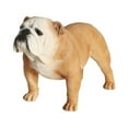 thumbnail image 1 of Petorama Handmade English Bulldog Resin Statue 1-4 in Caramel, 1 of 9