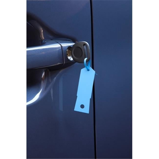 Petoskey Fb-P9933-98 Blue Key Tag - 1000 Package