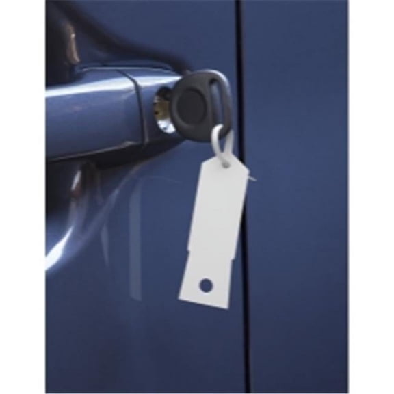 Petoskey Plastics PETFB-P9933-23 Plastic Key Tags, White - Pack of 1000