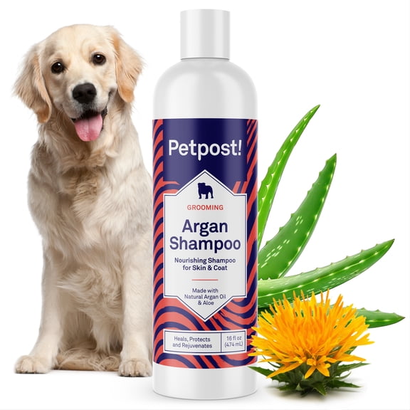 Petpost Argan Oil Shampoo for Dogs - Naturally Nourishing Formula for Dry Skin & Dull Coats - With Aloe & Safflower Oil - Adds Shine & Softness - 16 oz