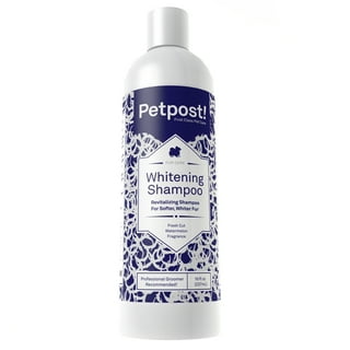 Best shampoo for cheap yorkies at walmart