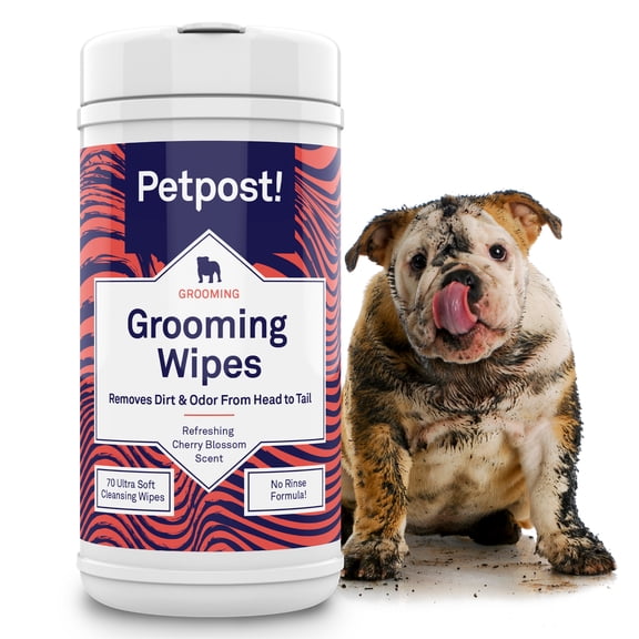 Petpost Grooming Wipes for Dogs - 70 Large Deodorizing Cotton Pads with Coconut Oil, Aloe & Cherry Blossom Scent - Gentle Full-Body Cleansing Wipes