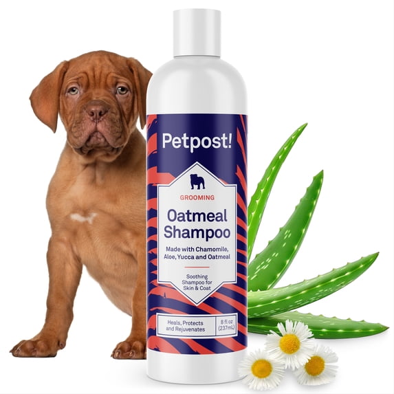 Petpost Oatmeal & Chamomile Shampoo for Dogs - Soothes Dry, Itchy, Sensitive Skin - Naturally Healing Formula with Aloe & Yucca - 8 oz