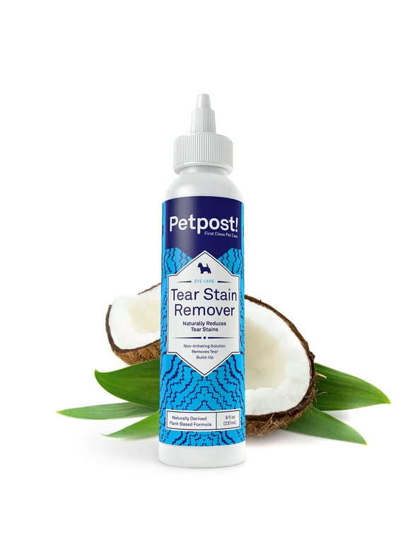 Dog Eye Drops and Treatment in Dog Health and Wellness