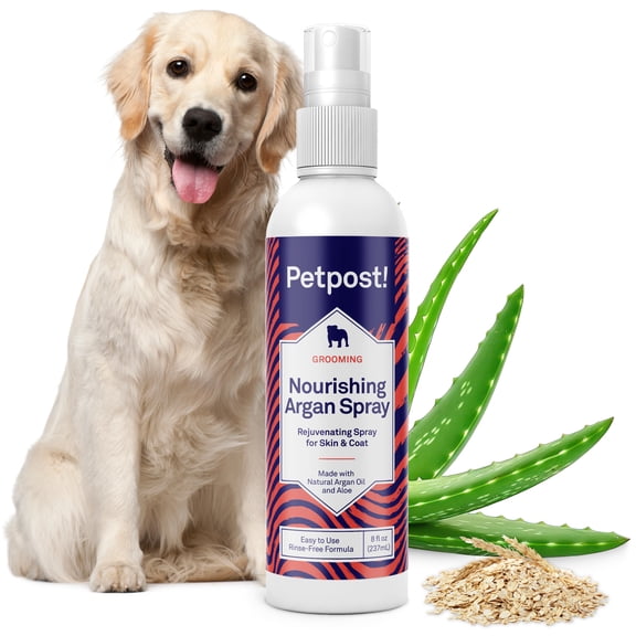 Petpost Waterless Argan Shampoo Spray for Dogs - No-Rinse Coat Cleaner with Argan Oil & Aloe - Naturally Deodorizes Sensitive Skin, Adds Shine - 8 oz