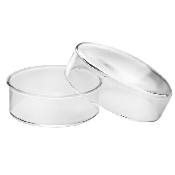 Petri Dish, 2" (50mm) - Beaded Edges - Easy to Sterilize for Repeated Use - Borosilicate Glass - Eisco Labs